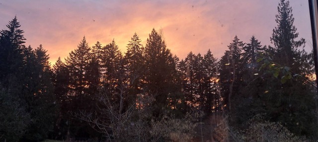 Yellow Point Country Acres Central Vancouver Island Adventures BnB in Ladysmith