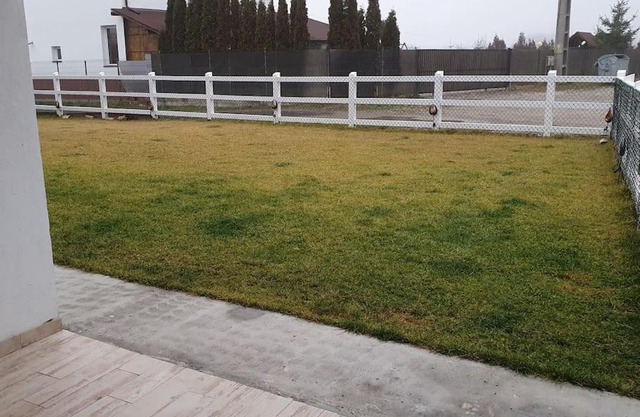 Lovely Cozy Yard 