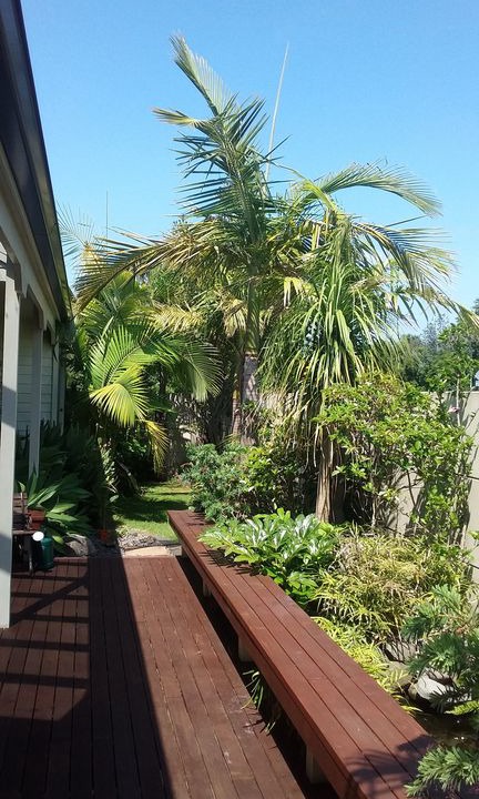 Photo of Others in Maungatapu