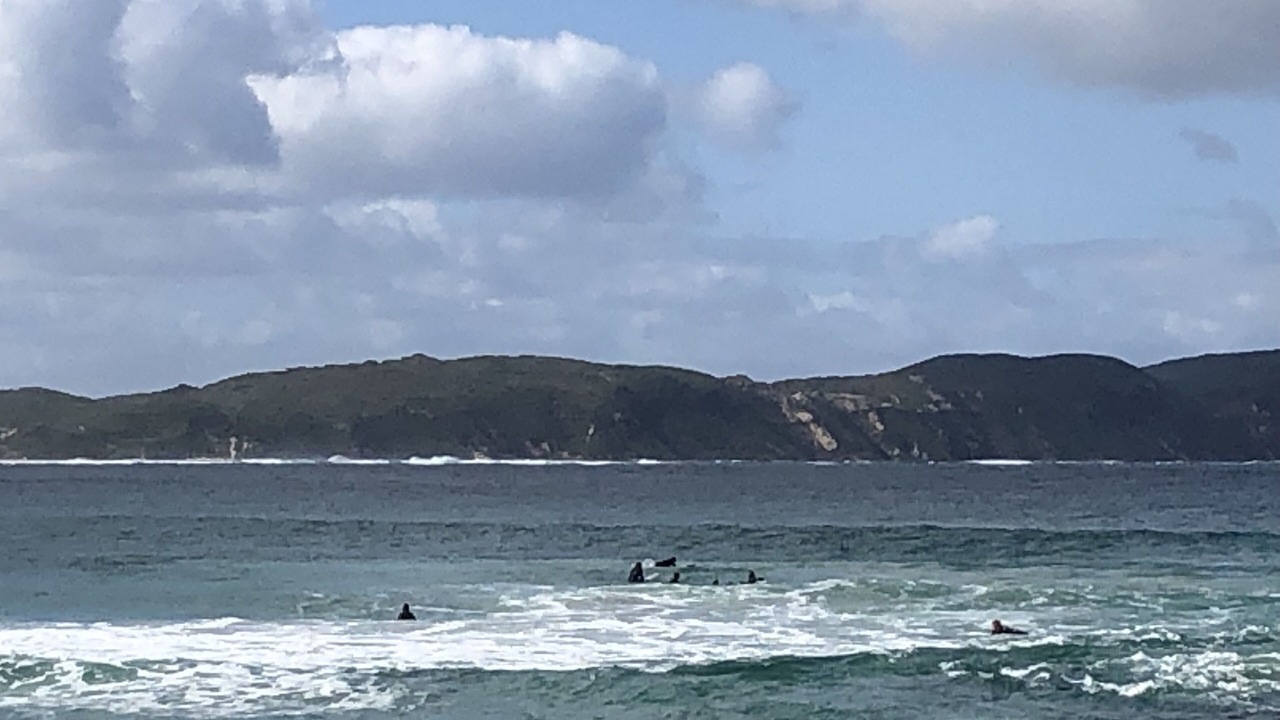 Photo of Others in William Bay