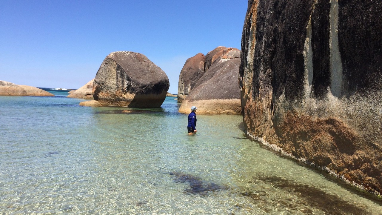 Photo of Others in William Bay