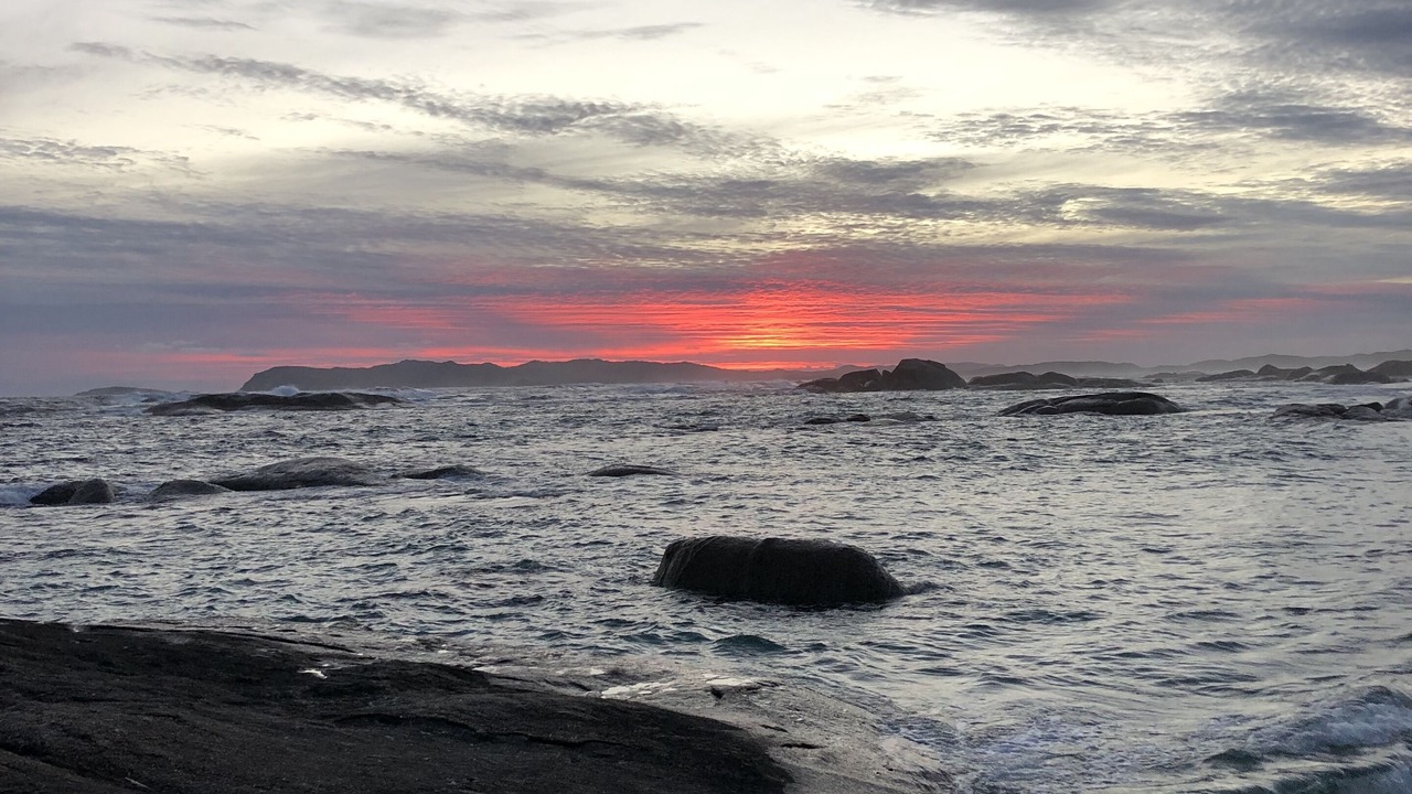 Photo of Others in William Bay