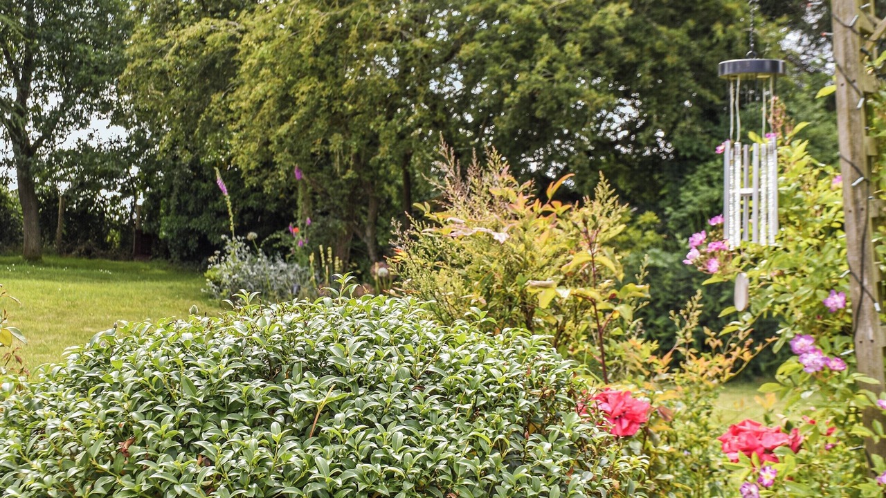 Photo of Outdoor in Surlingham