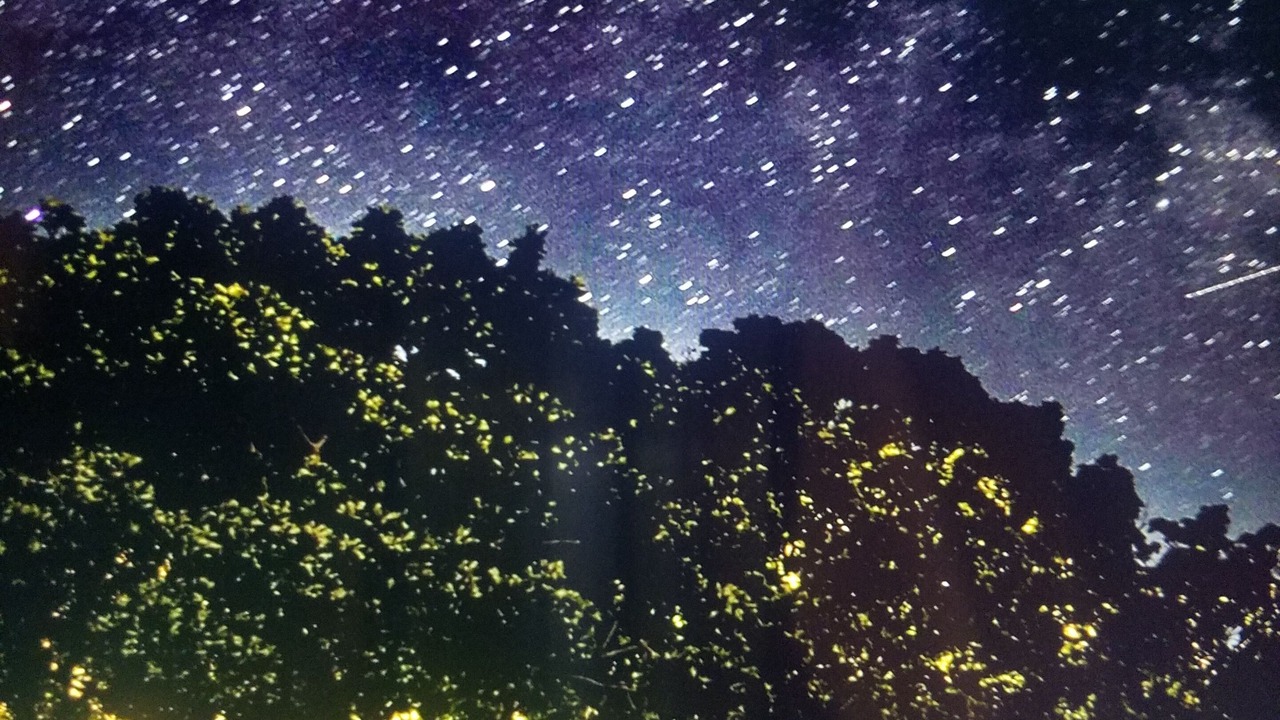 Photo of Outdoor in Springs