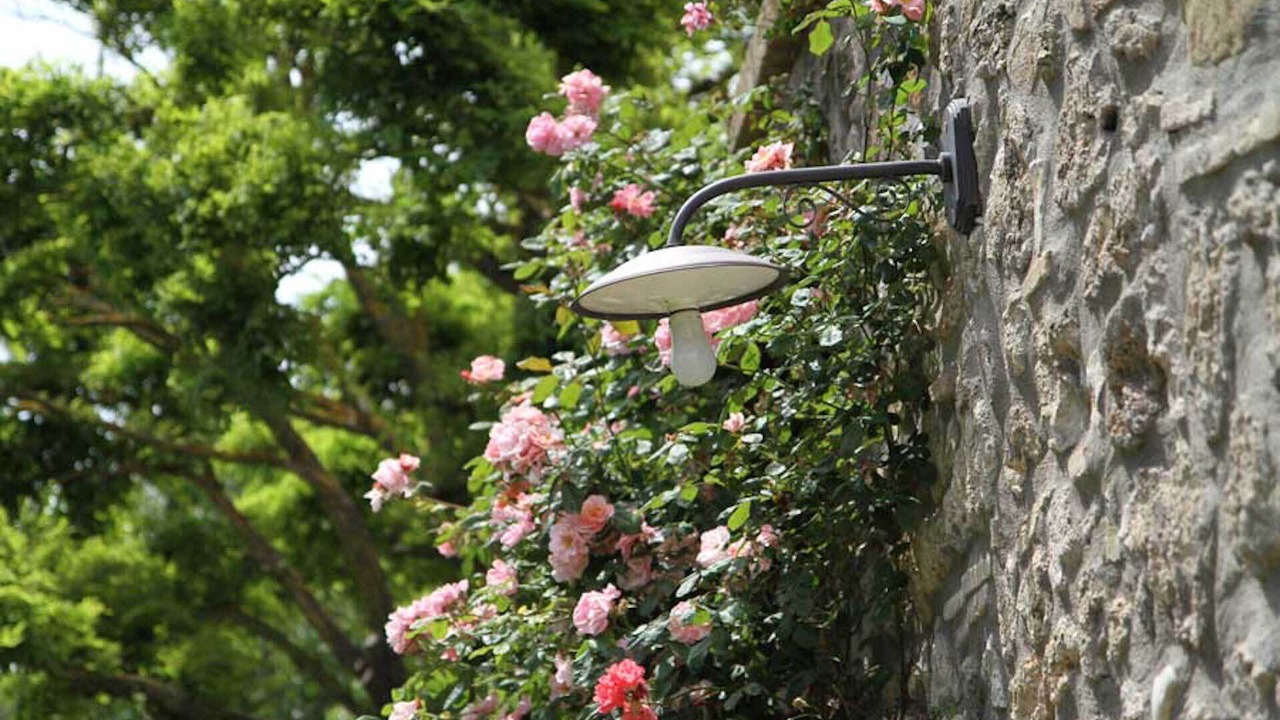 Photo of Outdoor in Civitella d'Agliano
