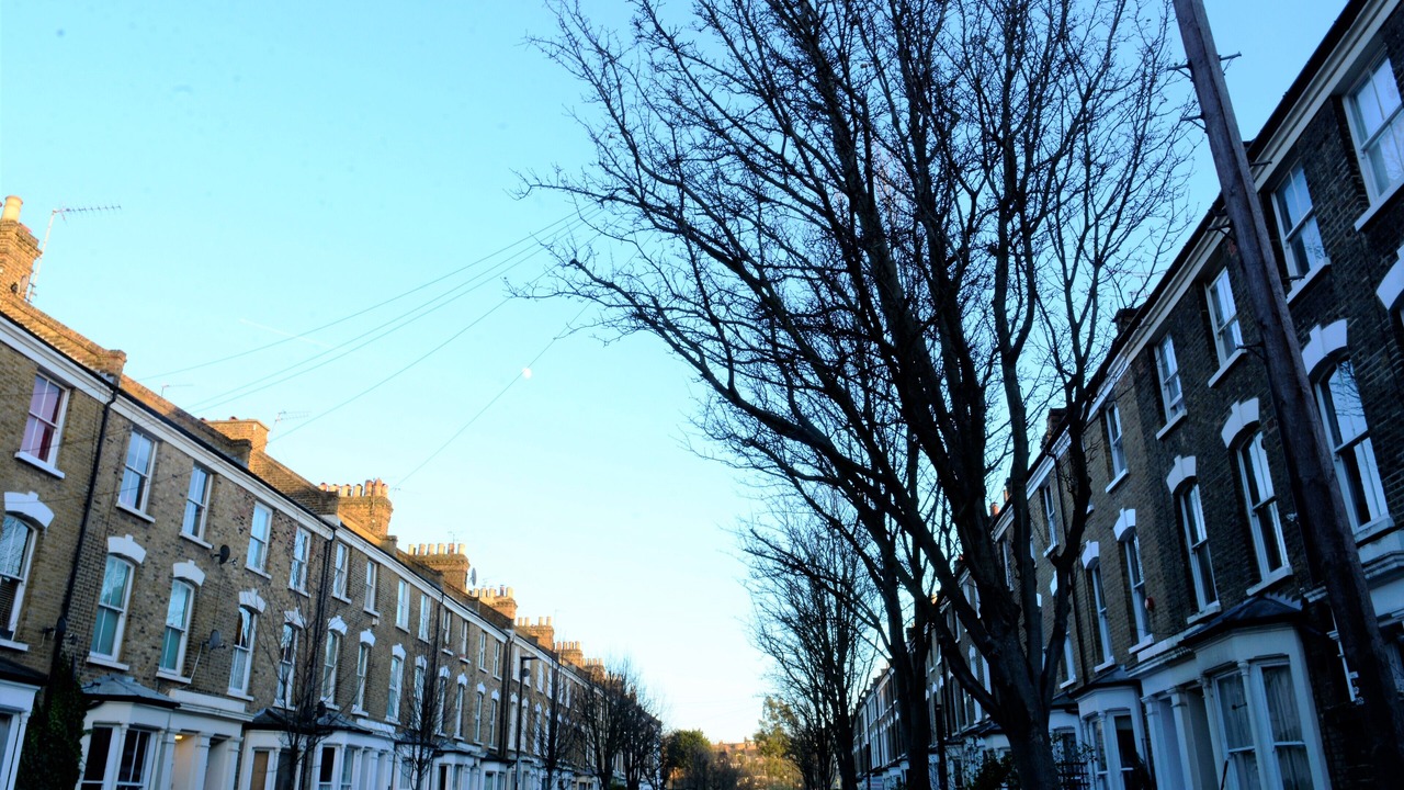 Photo of Others in Highbury West