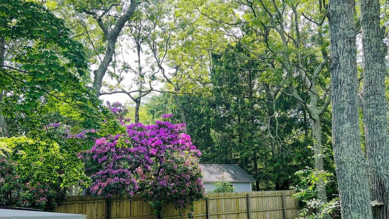 Photo of Outdoor in Hampton Bays