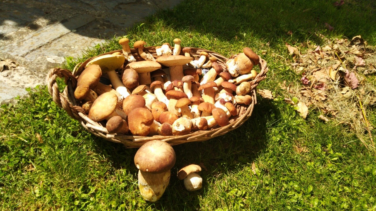 Photo of Others in Villa Bascilica