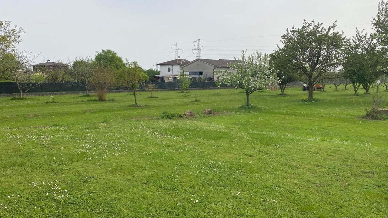 Photo of Outdoor in Ovest