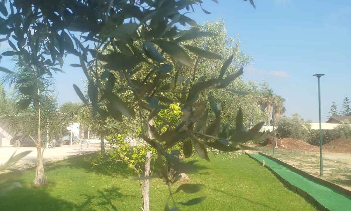 Photo of Outdoor in Santa Maria del Focallo
