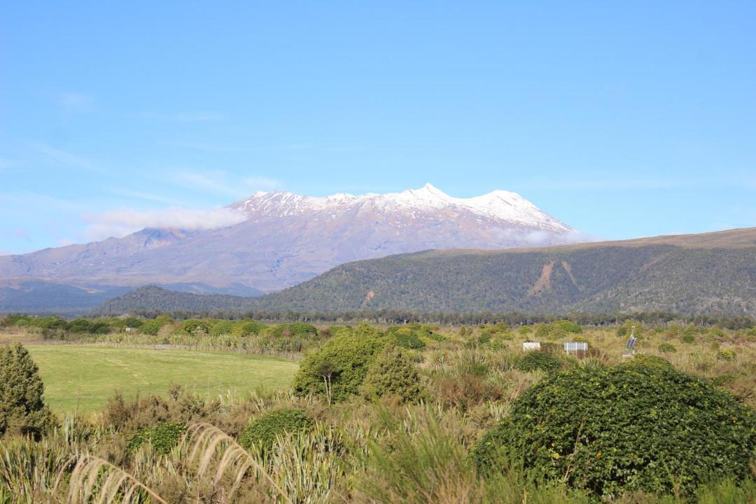 Photo of Others in National Park Village